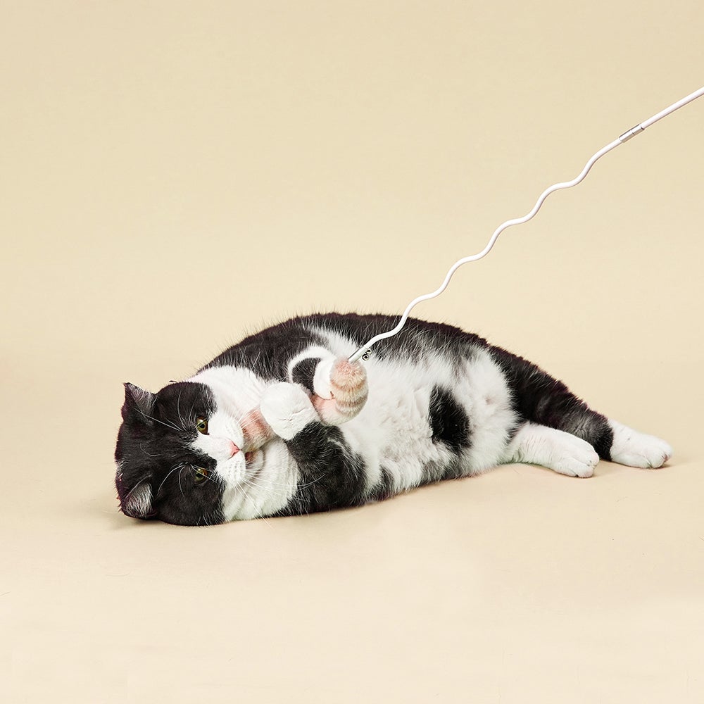 INSTACHEW Presents The Bingo Stick Cat Toy Replacements, Bendable